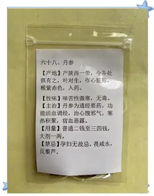 玻璃酒坛中浸泡的丹参酒，红色丹参切片清晰可见，旁边配有红枣和枸杞，光线温馨，展示家庭自酿药酒的实景。_1