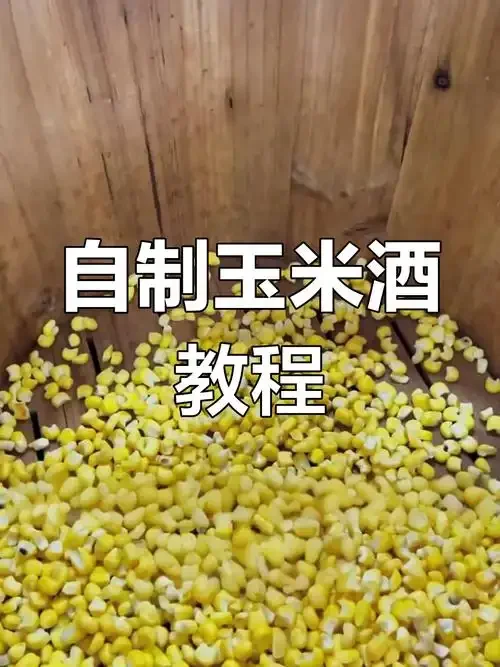 传统酿酒工坊内，金黄的玉米粒盛在竹簸箕中，旁边的木甑桶正蒸腾着热气，展现从粮食到美酒的酿造起点。_1
