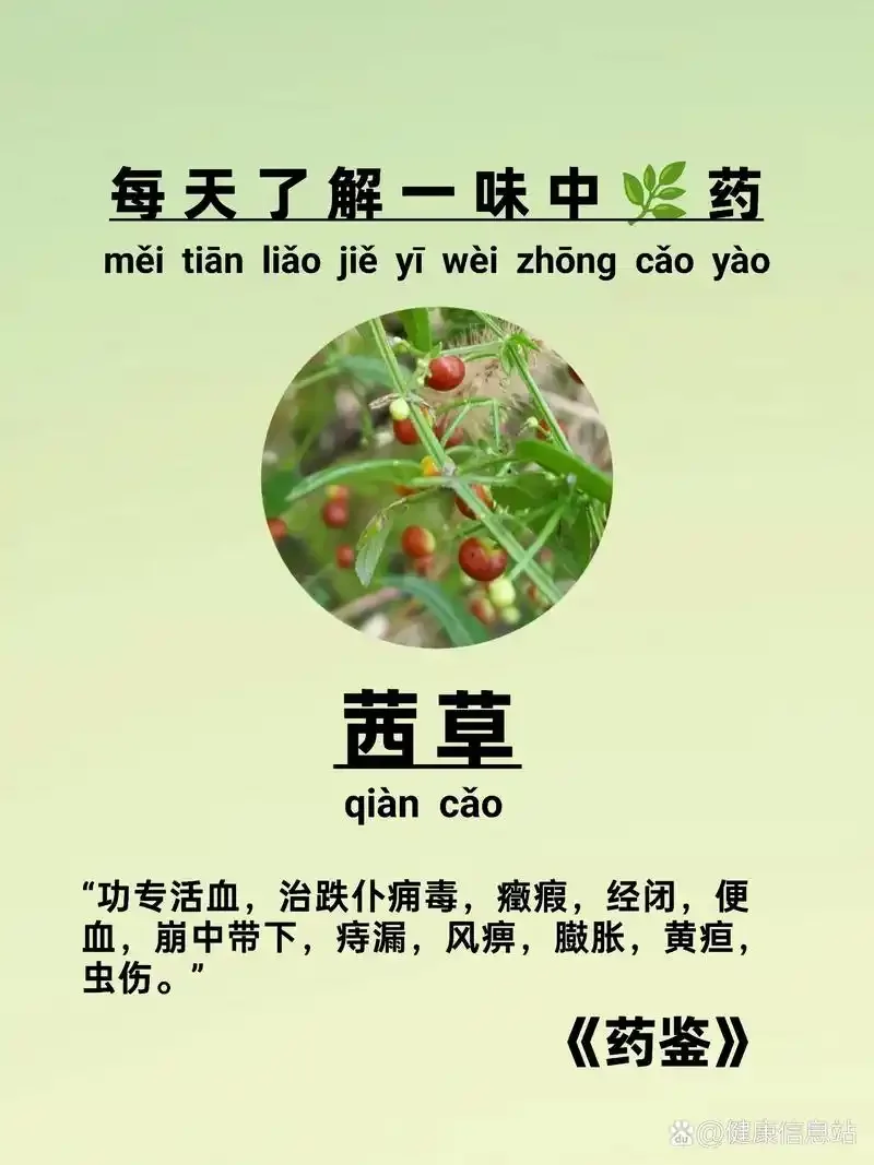 茜草泡酒制作过程展示：玻璃罐中深红色茜草根浸泡在清澈酒液中，旁边摆放着药材和测量工具，体现传统养生酒的制作细节。_1