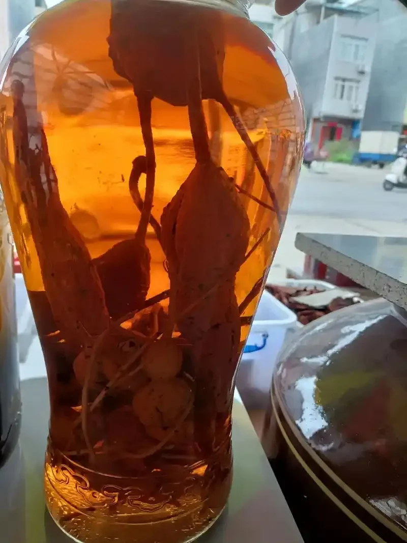 南楼山酿酒师展示的黄精、枸杞、人参混合泡酒，药酒色泽琥珀，药材清晰可见，富有养生感。_1