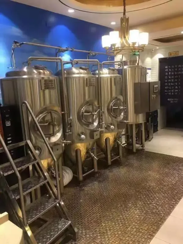 一套正在工作中的500升不锈钢自酿啤酒设备，酿酒师在现场进行品质检查。_1