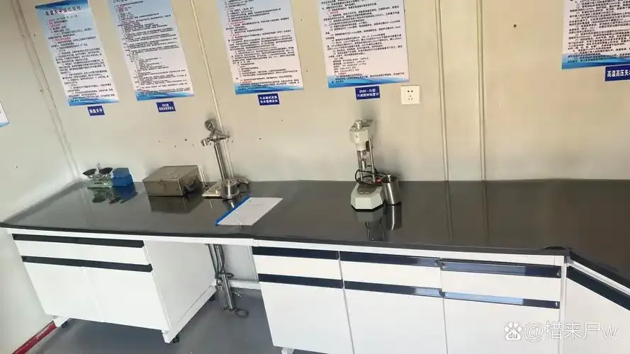 白酒厂现代化化验实验室内部实景，展示色谱仪、分析天平等核心设备与技术人员工作场景_1
