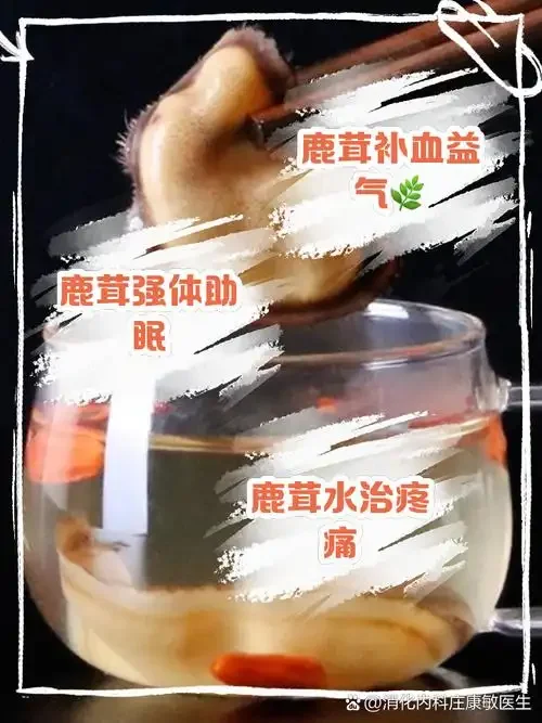 鹿茸泡酒配方材料展示：玻璃酒瓶、鹿茸片、枸杞、人参等中药材特写_1