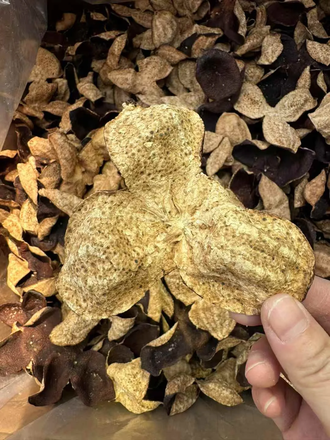 三个泡酒罐分别浸泡山黄皮、金樱子和肉桂树皮，旁边摆放着对应的干燥树皮材料，展示家庭泡酒的准备过程。_1