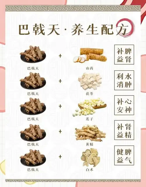 一瓶正在浸泡中的巴戟枸杞酒特写，旁边放着备用的药材和白酒，展示家庭自制养生酒的场景。_1