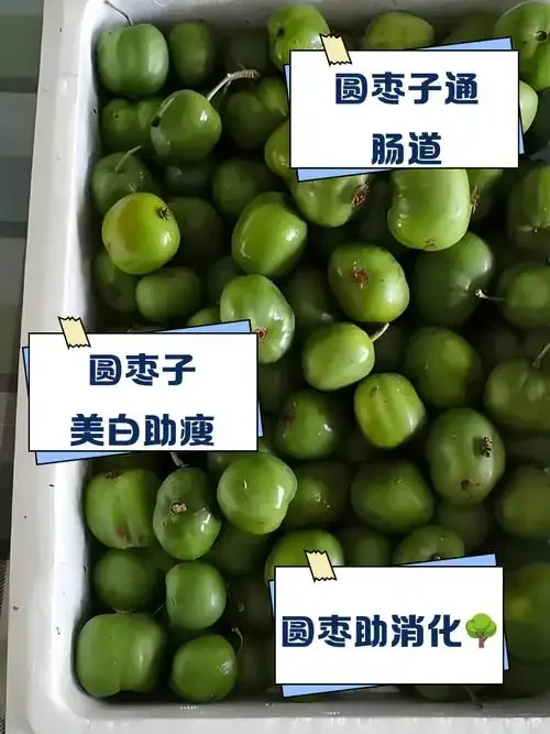 资深酿酒师正在向优质红枣中添加酒曲，准备进行糖化发酵，这是酿造红枣白酒的关键一步。_1