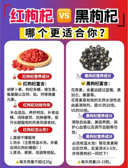透明玻璃罐中黑枸杞与红枸杞在酒中浸泡的细节特写，展示黑红枸杞泡酒的色彩与状态_1