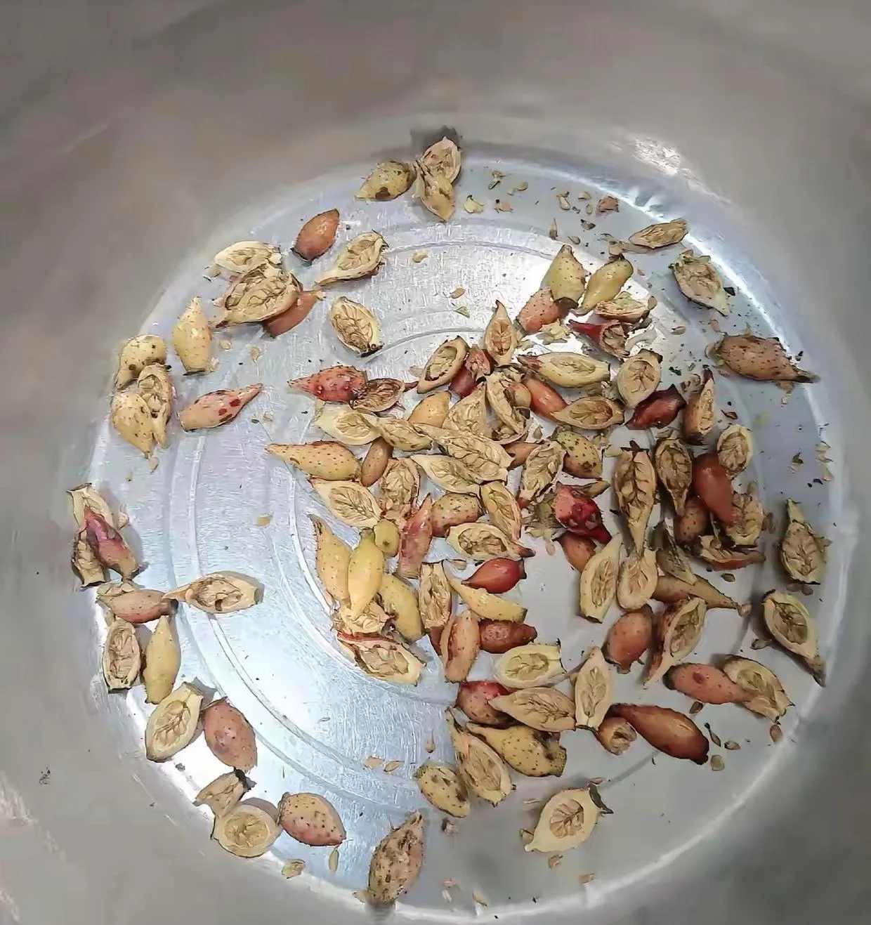 浸泡在透明玻璃罐中的金樱子芡实酒，酒液呈琥珀色，金樱子与芡实清晰可见，摆放于木桌上。_1