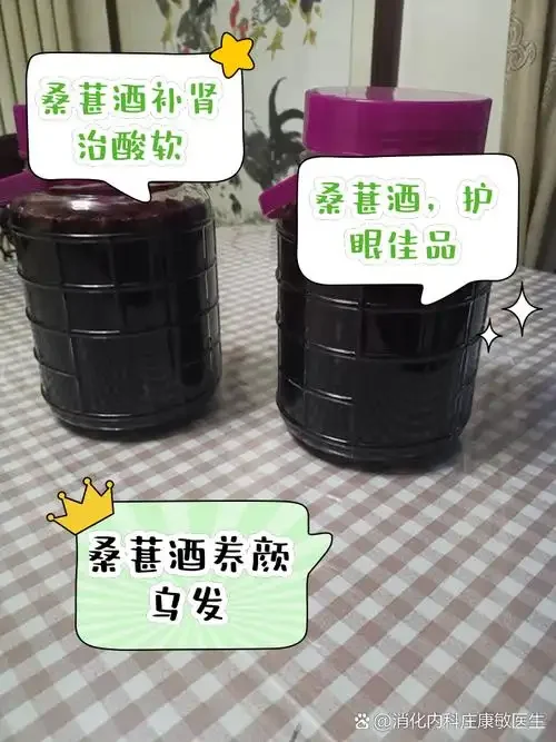 家庭自制桑葚酒发酵过程图：玻璃瓶中桑葚与冰糖层次分明，酒液色泽紫红透亮。_1