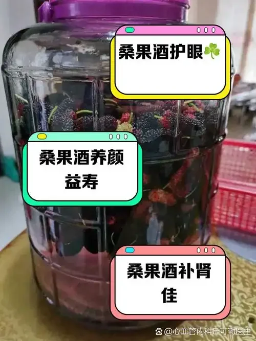 鹿茸人参桑葚泡酒材料实拍：透明玻璃罐中清晰可见浸泡的鹿茸片、整支人参和紫黑色桑葚_1