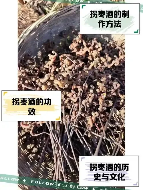 家庭自制拐枣泡酒成品展示：透明玻璃罐中金黄透亮的酒液与拐枣果实_1