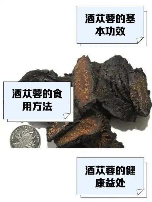 一瓶浸泡着肉苁蓉和锁阳的琥珀色药酒，旁边摆放着原料和酿酒工具，展示传统泡酒工艺。_1