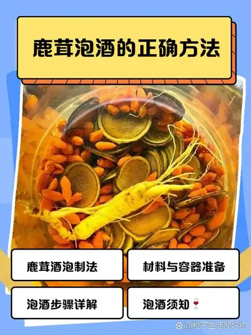 鹿茸泡酒实物展示：玻璃罐中可见鹿茸、人参、枸杞等材料，酒体呈琥珀色_1