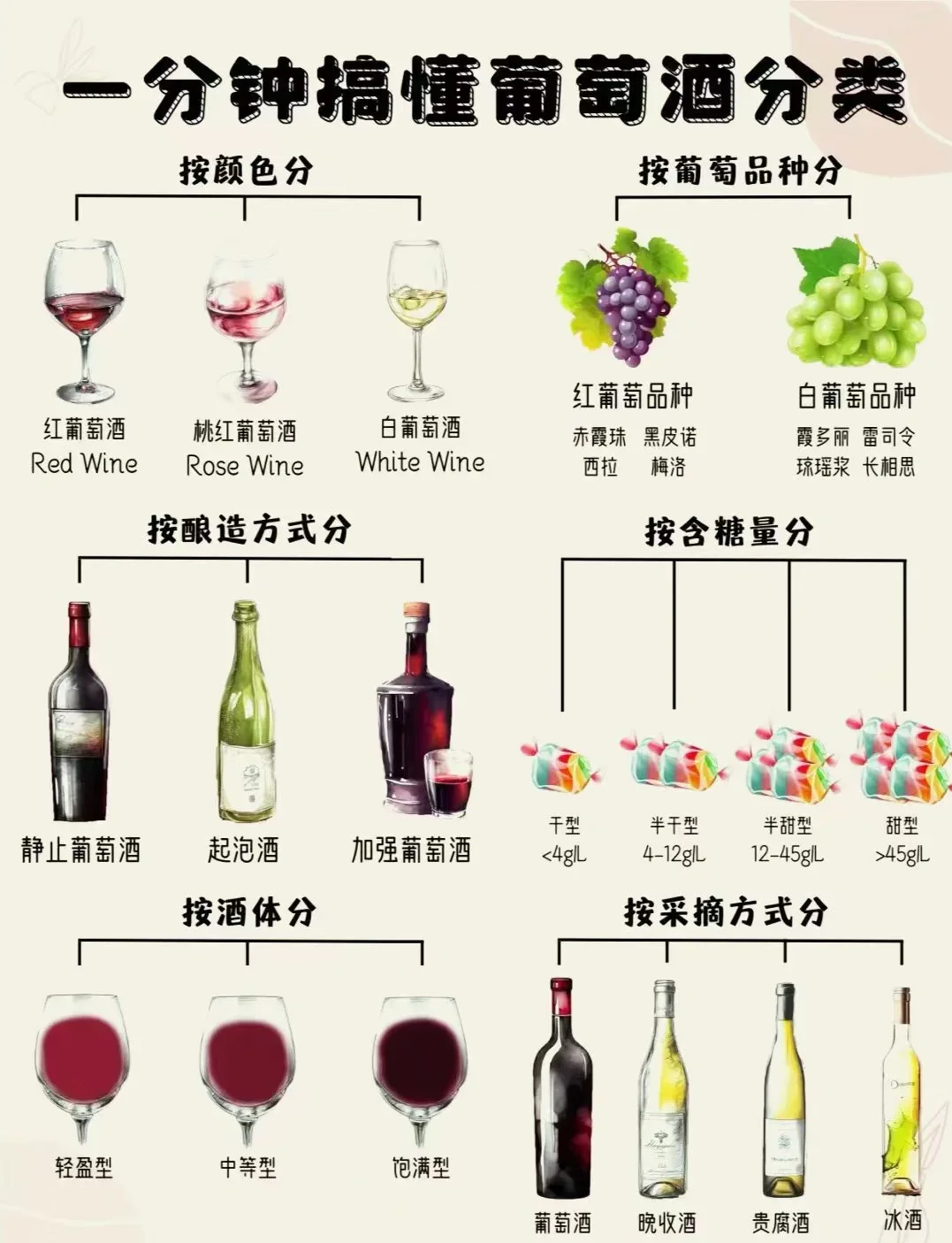 酿酒师在自然光下展示如何通过观察酒色和挂杯来分辨红酒档次_1