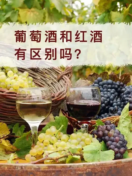 并排摆放的白葡萄酒、红葡萄酒和桃红葡萄酒，配以新鲜葡萄和橡木片，直观展示葡萄酒的颜色分类。_1