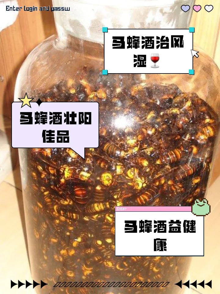 透明玻璃罐中泡制的传统马蜂酒特写，可见完整的马蜂和琥珀色酒液_1