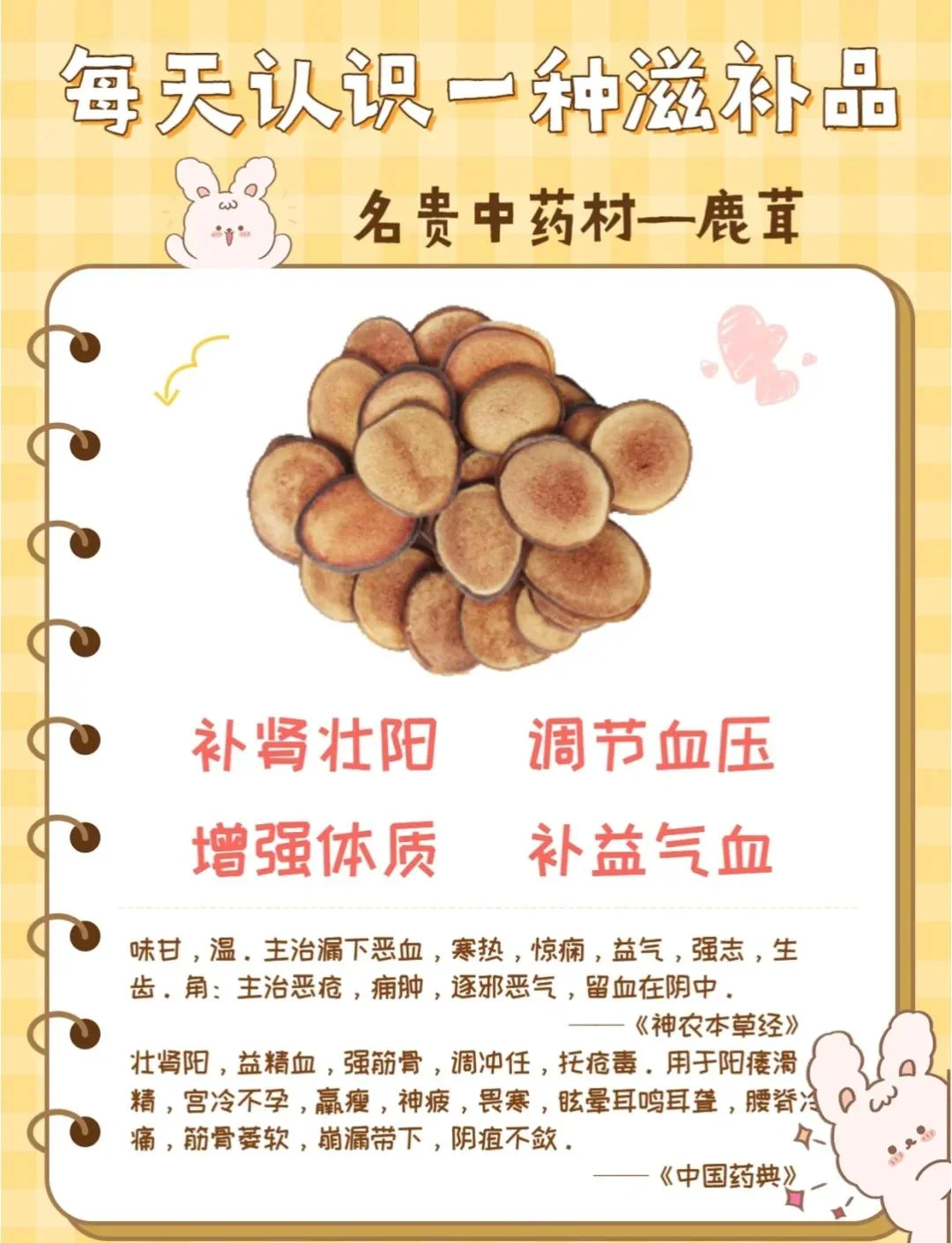 透明玻璃酒坛中浸泡的马鹿茸、枸杞和红枣，展示传统养生药酒的泡制过程_1