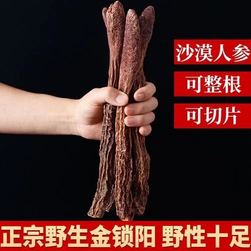 锁阳玛卡泡酒制作过程特写：透明玻璃罐中金黄色酒液浸泡着药材，旁边散落着待用的锁阳和玛卡，以及白酒和秤。_1