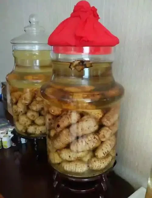 川芎和天麻在透明玻璃罐中浸泡的药酒特写，酒液清澈，药材清晰可见。_1