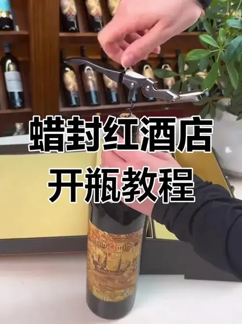 已开瓶的红酒与真空保鲜塞、惰性气体保鲜瓶等专业保存工具摆放在一起，展示家庭红酒保存方案。_1