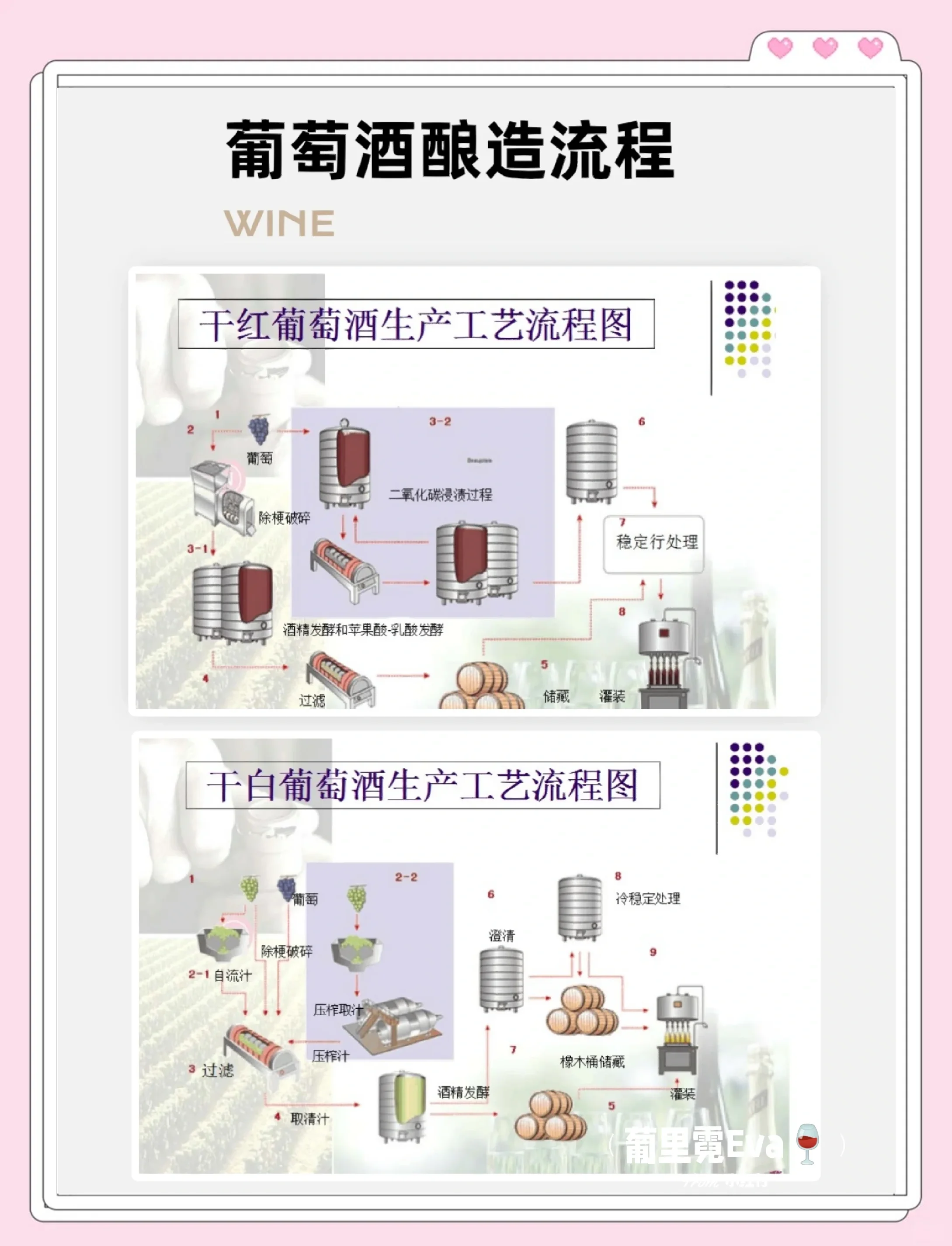 红酒酿造过程展示：发酵桶内的葡萄汁与新鲜酿酒葡萄_1