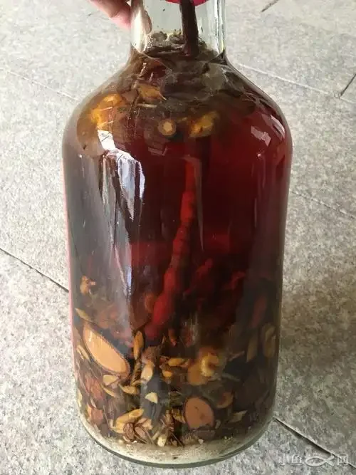 药酒泡制过程实拍：透明玻璃罐中52度白酒浸泡人参、枸杞等药材，旁边放置酒瓶和散落的药材，展示专业泡酒场景。_1