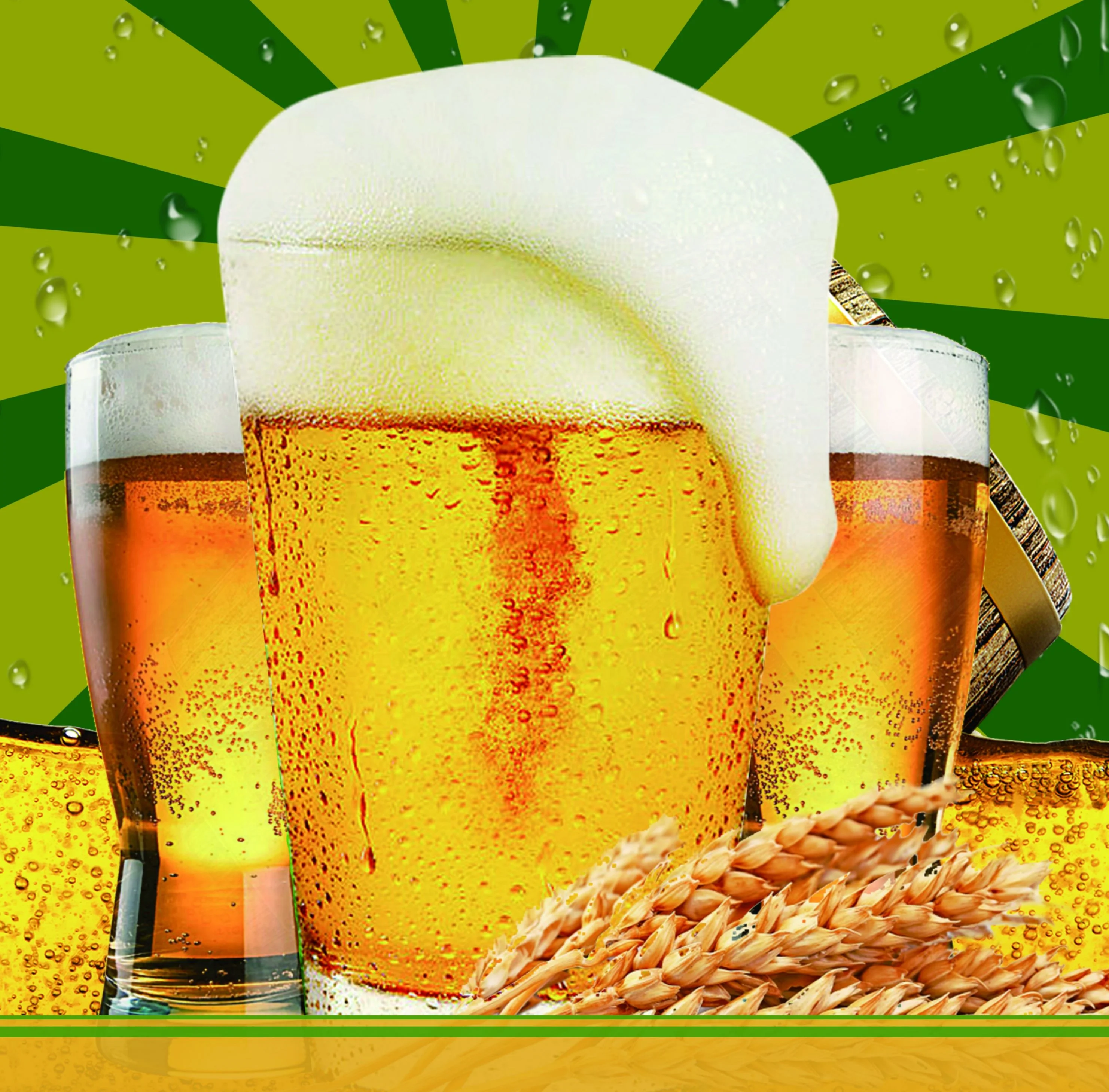 酿酒师在家中用比重计测量精酿啤酒麦汁糖度的特写照片_1