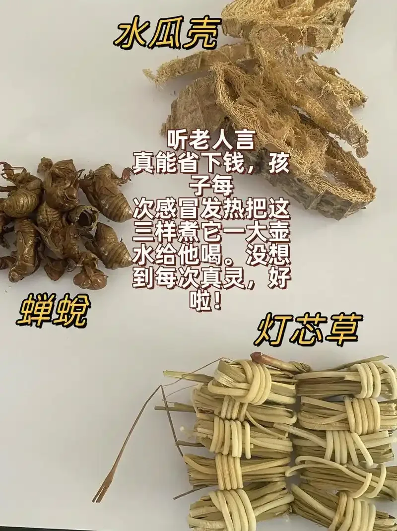 蝉蜕泡酒成品特写：透明玻璃瓶中金黄色的酒液与清晰的蝉蜕_1