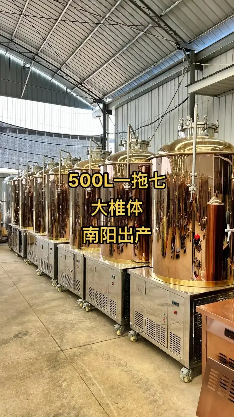 家庭自酿啤酒设备使用场景图，包含不锈钢糖化煮沸一体设备和发酵罐_1