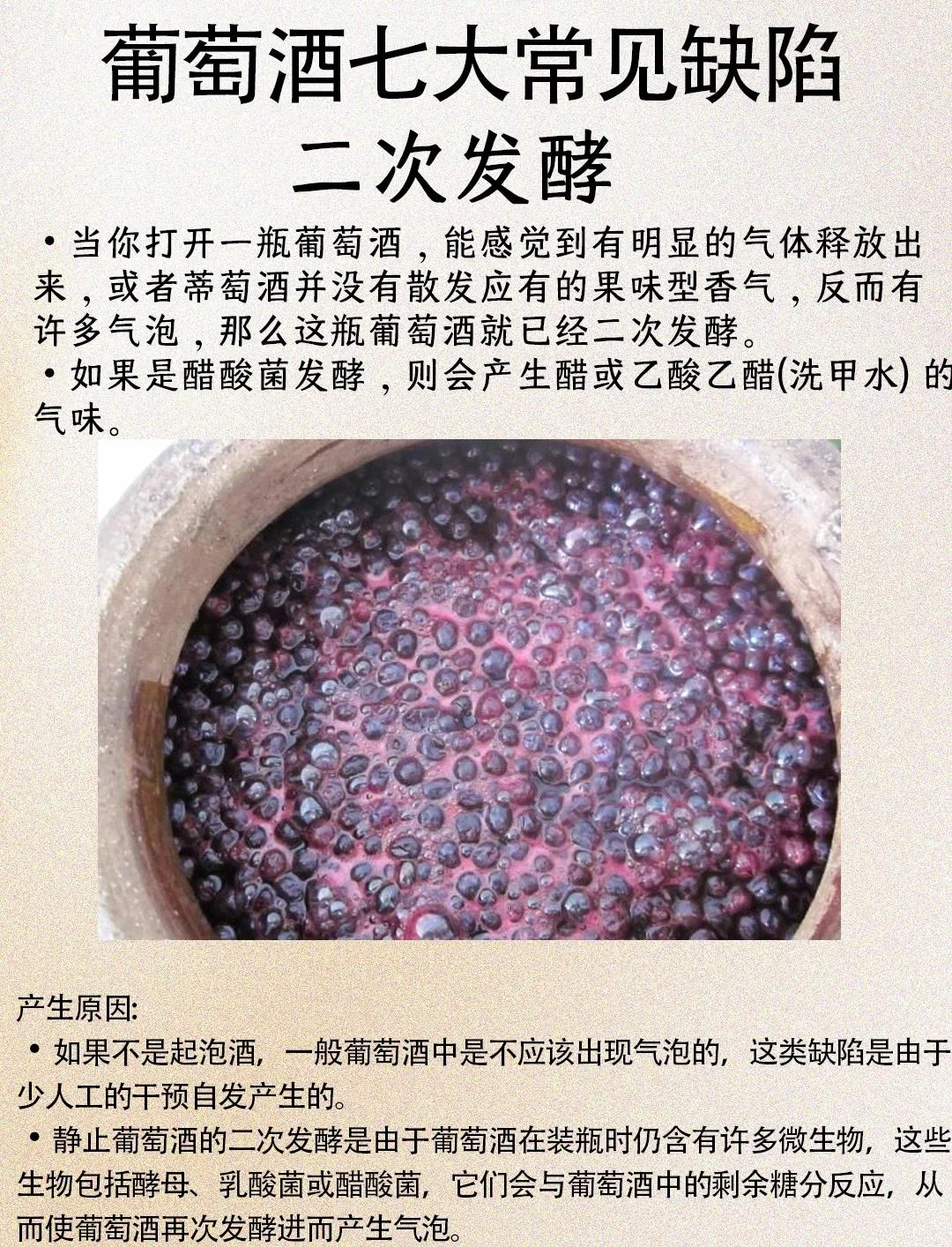 自酿葡萄酒发酵过程特写：玻璃罐中酒液产生密集细小气泡_1