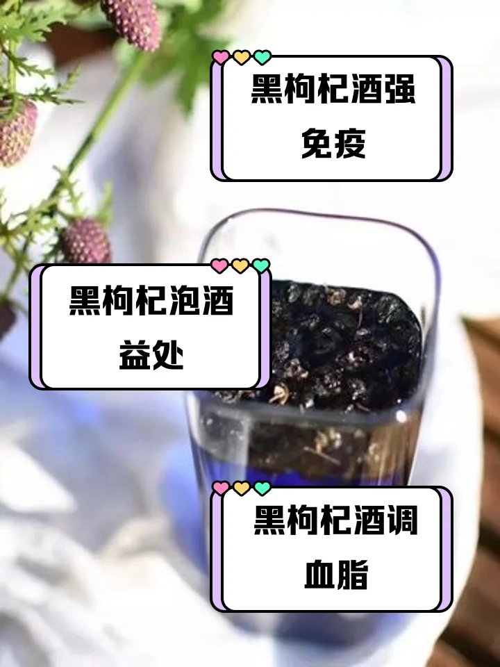 透明玻璃酒坛中盛满色泽诱人的黑枸杞泡酒，旁边散落着原料，背景是专业的酿酒工作台_1