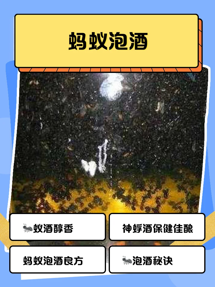 展示传统陶罐中正在泡制的干蚂蚁药酒，包含多种中药材，体现家庭自制与养生概念_1
