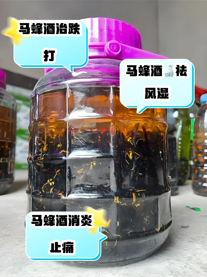 透明玻璃罐中浸泡着蜂蛹的蜂子酒特写,旁边有中药材点缀,展现传统泡制方法。_1