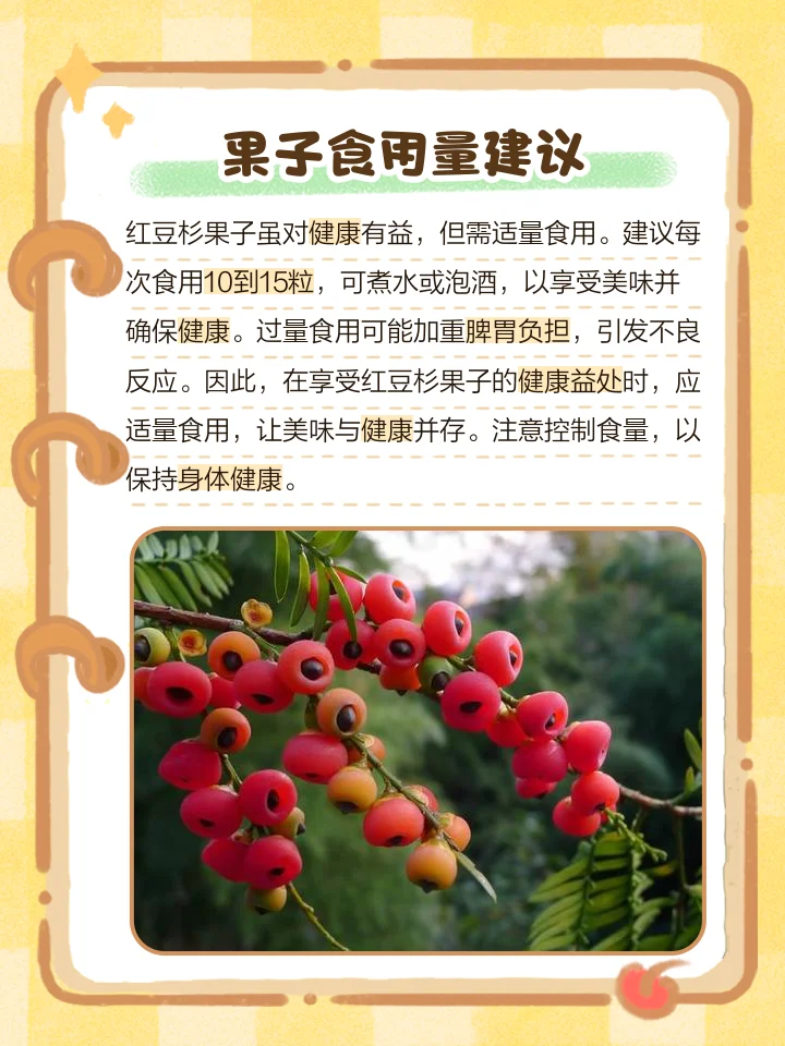 工作台上展示红豆杉果子与安全泡酒材料的对比，强调专业酿酒师对安全配方的重视。_1