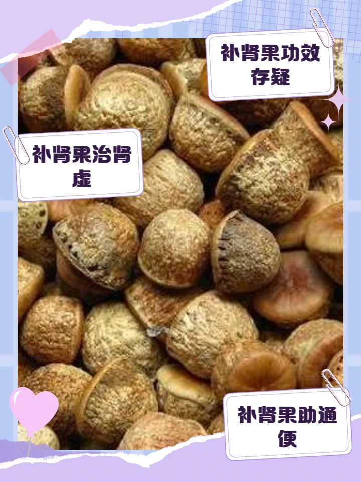 中药补骨脂（补肾果）泡酒过程展示：饱满的补肾果干与琥珀色白酒在玻璃罐中浸泡。_1
