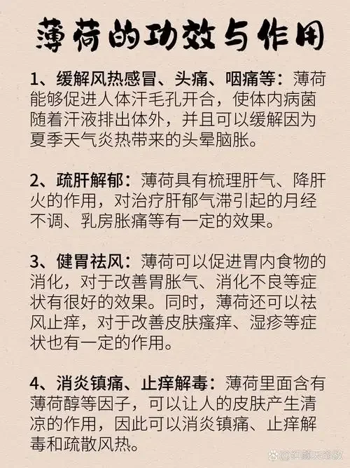 一瓶正在浸泡中的自酿薄荷酒，薄荷叶翠绿，酒液清澈金黄，旁边散落着新鲜的薄荷和柠檬。_1
