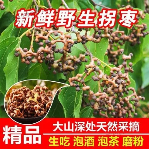 新鲜拐枣与干拐枣在木案板上的实物对比图，旁边是泡酒罐_1