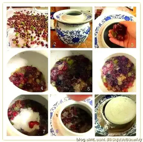 家庭葡萄酒酿造工具与原料展示：玻璃发酵罐、葡萄、糖度计、剪刀和亚硫酸钾，准备开始发酵阶段。_1