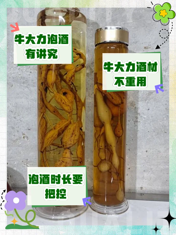 牛大力和巴戟天在透明玻璃罐中浸泡的特写照片，展示药材真实形态与酒液色泽。_1