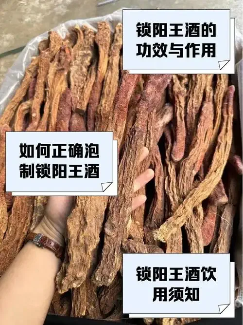南楼山酿酒师正在按照传统方法，将锁阳、枸杞和肉苁蓉放入玻璃酒坛中泡制养生药酒。_1