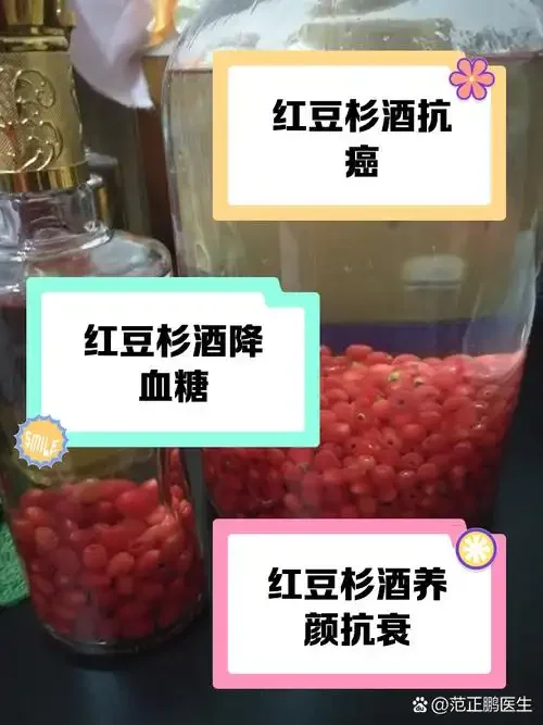 一瓶自酿酒与红豆杉果实静物照，附有安全警示提示_1