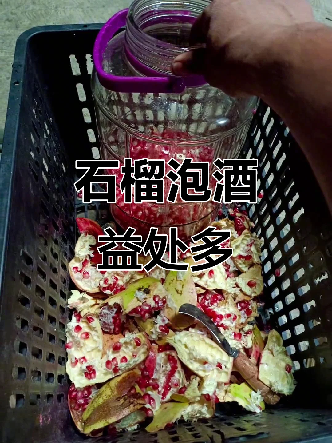 玻璃罐中正在浸泡的石榴籽酒，酒色清亮，石榴籽饱满_1