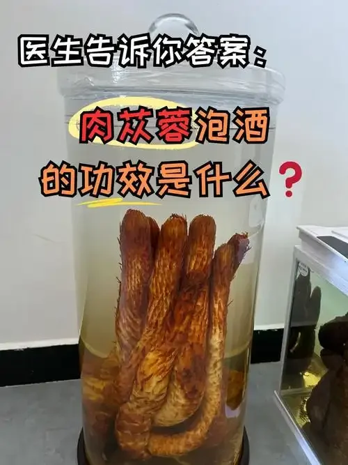 泡制中的枫树寄生酒特写：透明玻璃罐中琥珀色酒液浸泡着枫树寄生、枸杞等材料_1