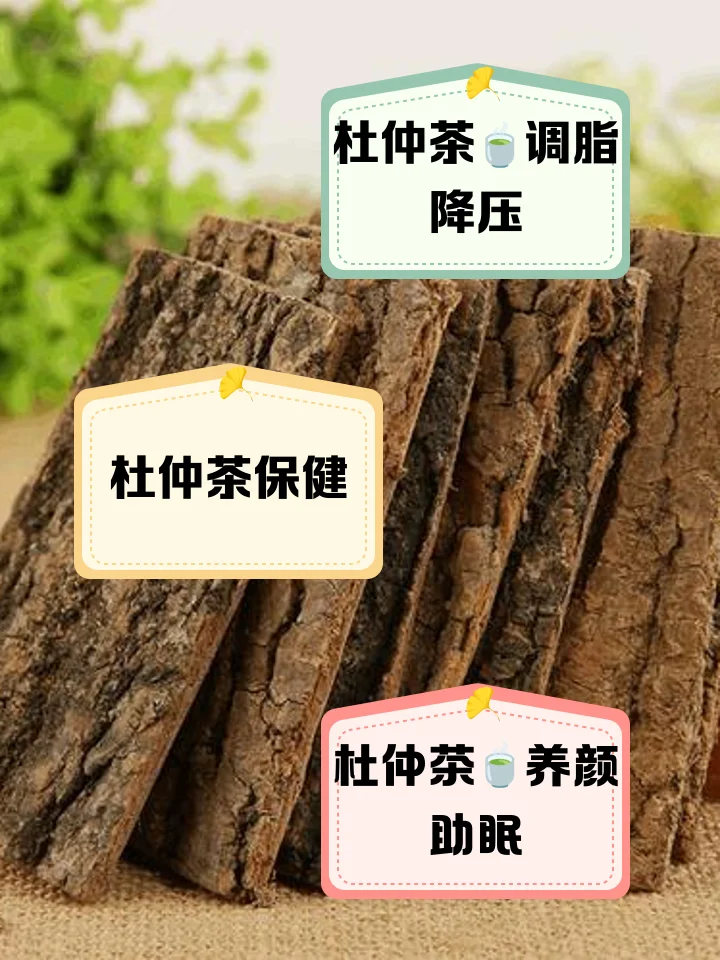 杜仲泡酒成品展示：玻璃罐中琥珀色酒液与杜仲皮、枸杞清晰可见。_1