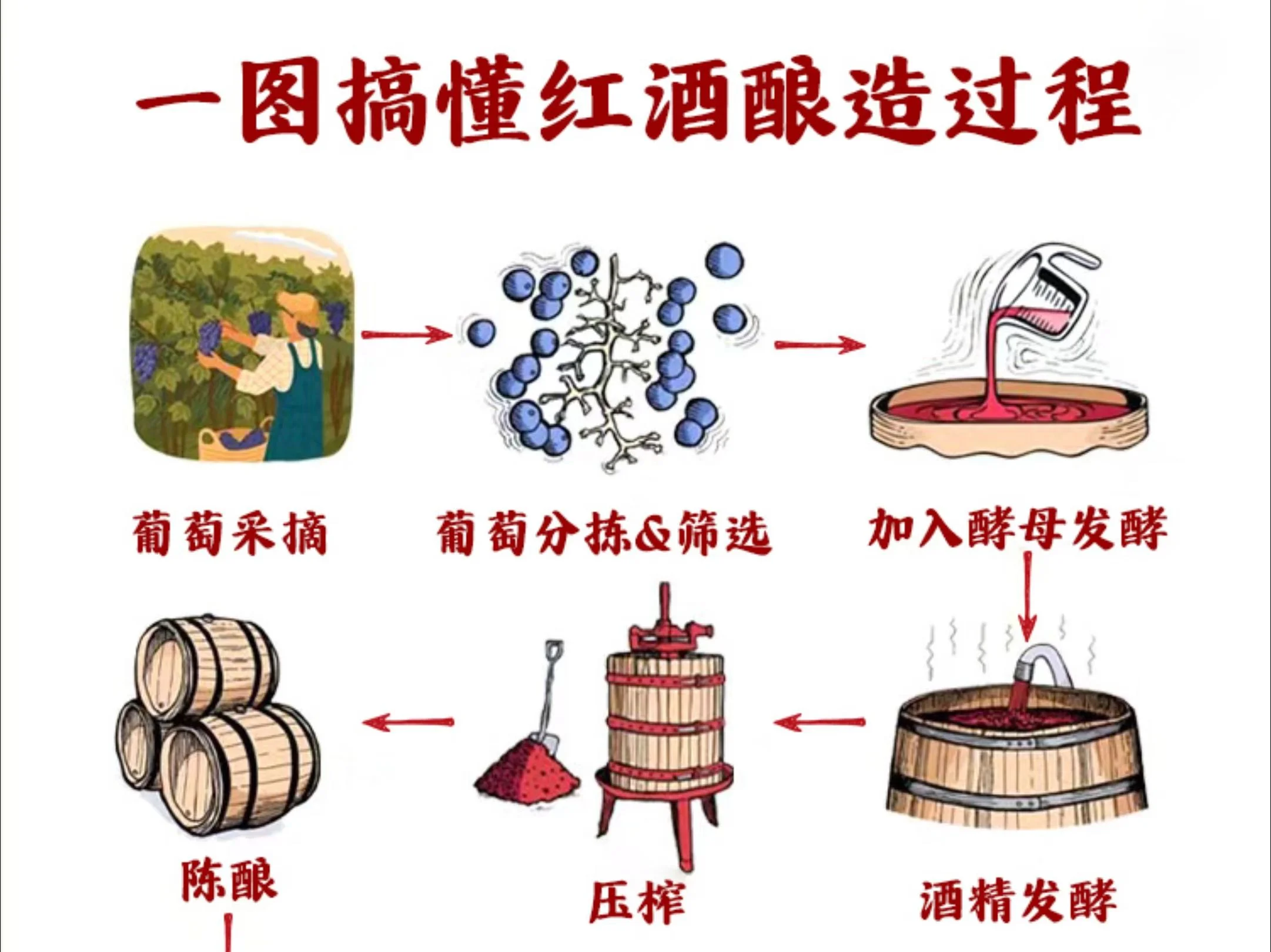 家庭自酿红酒发酵过程实拍：玻璃罐中深紫红色的葡萄醪正在发酵，旁边摆放着新鲜葡萄和酿酒工具。_1