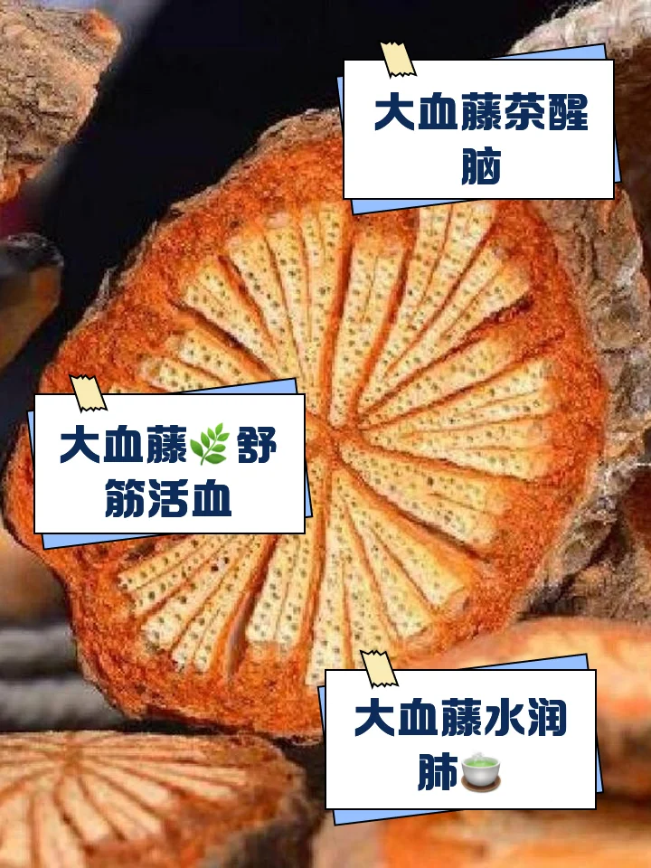 大血藤泡酒过程特写：玻璃罐中琥珀色酒液浸泡着暗红色大血藤切片，背景是古朴木桌与辅助药材。_1