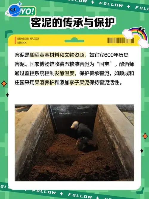 散装白酒土里窖藏实景：陶坛半埋于湿润泥土中，坛口密封严实，置于专业地窖环境。_1