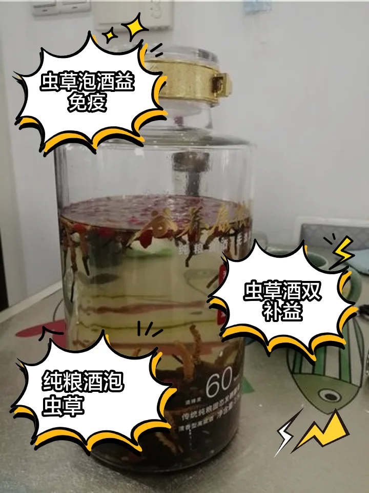 冬虫夏草与枸杞、人参等中药材浸泡在透明玻璃酒瓶中的特写照片，展示家庭自制养生酒的经典配方。_1