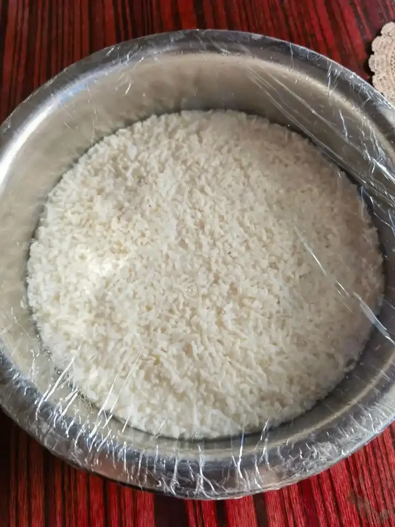 正在发酵中的自制米酒特写，展示米饭状态与菌丝细节_1