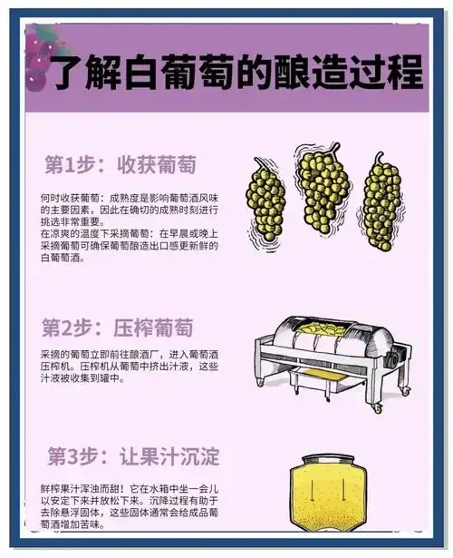 白葡萄酒酿造过程展示：新鲜白葡萄、发酵罐及测量工具_1